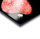 Mushroom Acrylic print