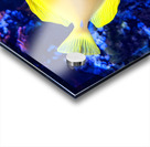 YellowFish Acrylic print