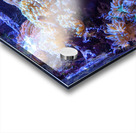 AquariumFishTank2 Acrylic print