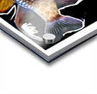 ColoredFish Acrylic print