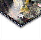 GreenOrangeFish Acrylic print