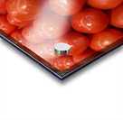 Tomatoes Acrylic print