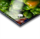 Green Peppers Acrylic print