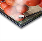 Tomato Acrylic print