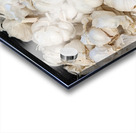 Garlic Acrylic print