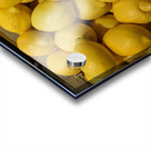 Lemons Acrylic print
