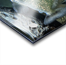 Colorful Fish Acrylic print