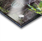 Zebra Acrylic print