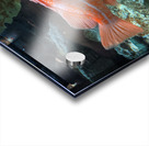 Colorful Fish Acrylic print