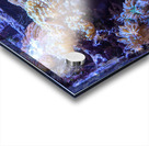 Aquarium Acrylic print