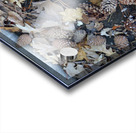 Soil Products Acrylic print