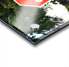 DSC 0085 Acrylic print