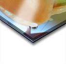 Sandwich5 Acrylic print