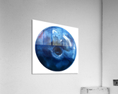 Blueberry Acrylic Print
