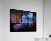 BlueFish Acrylic Print