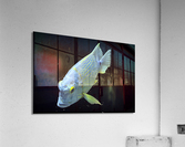 BlueYellowFish Acrylic Print