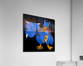 Empeor Acrylic Print