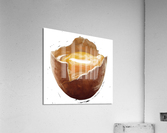 Egg Acrylic Print