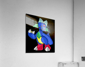 Duldi Acrylic Print
