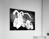 HappyHolidays Acrylic Print