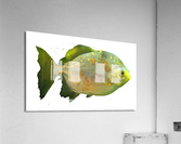 GreenFish Acrylic Print