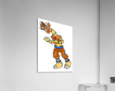 Gydro Acrylic Print