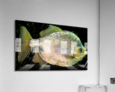 FishwithSpecs Acrylic Print