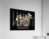 Cow Acrylic Print