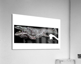Sea Creature Acrylic Print