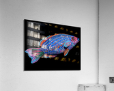 kelly johnson fishconcept1 Acrylic Print