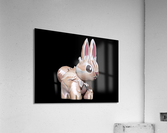 Bunny Acrylic Print