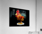 kelly johnson rooster3 Acrylic Print