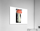 Mushroom4 Acrylic Print