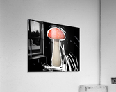 Mushroom3 Acrylic Print