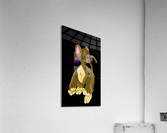 Moonki Acrylic Print