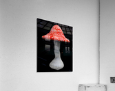 Mushroom2 Acrylic Print