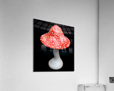 Mushroom Acrylic Print