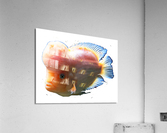 OrangeFishs2 Acrylic Print