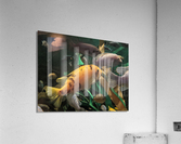 OrangeFish Acrylic Print