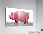 pignew Acrylic Print