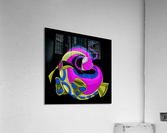 Platipus Acrylic Print