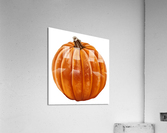 Pumpkin Acrylic Print