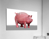 Pig Comp4 Acrylic Print
