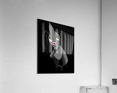 Snaughtnaut Acrylic Print