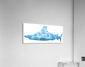 Shark Acrylic Print