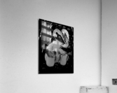 Shamrock Acrylic Print