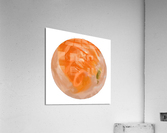 Sushi Acrylic Print