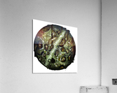 Toad Acrylic Print