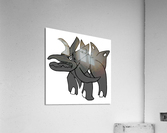 Tanktron Acrylic Print