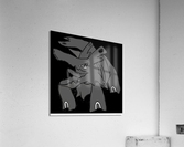Titanica Acrylic Print